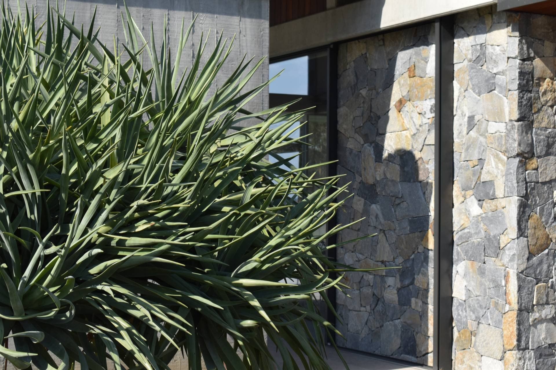 Supporting Image 5 for Inside Out Garden Design