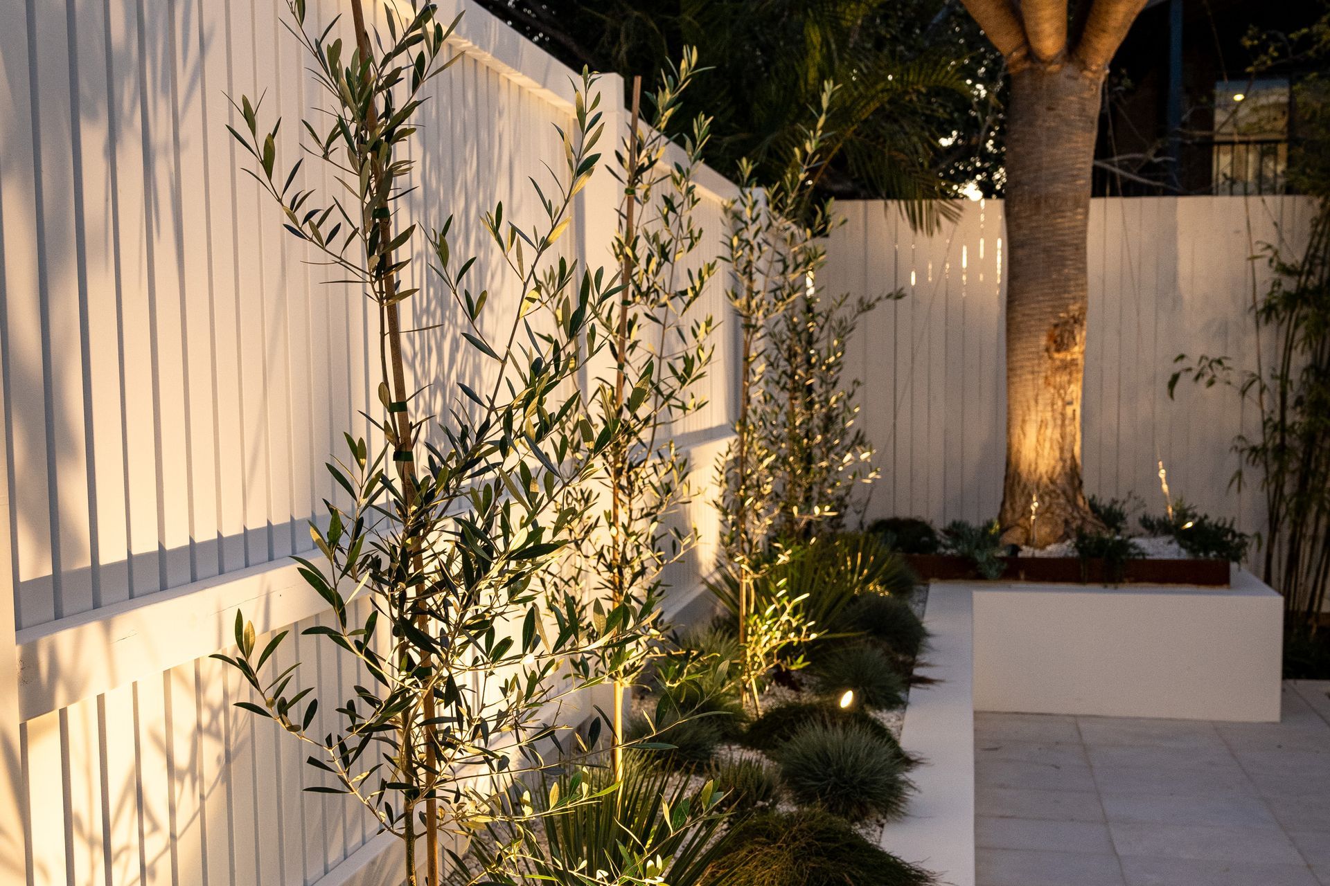 Supporting Image 2 for Shado Lighting