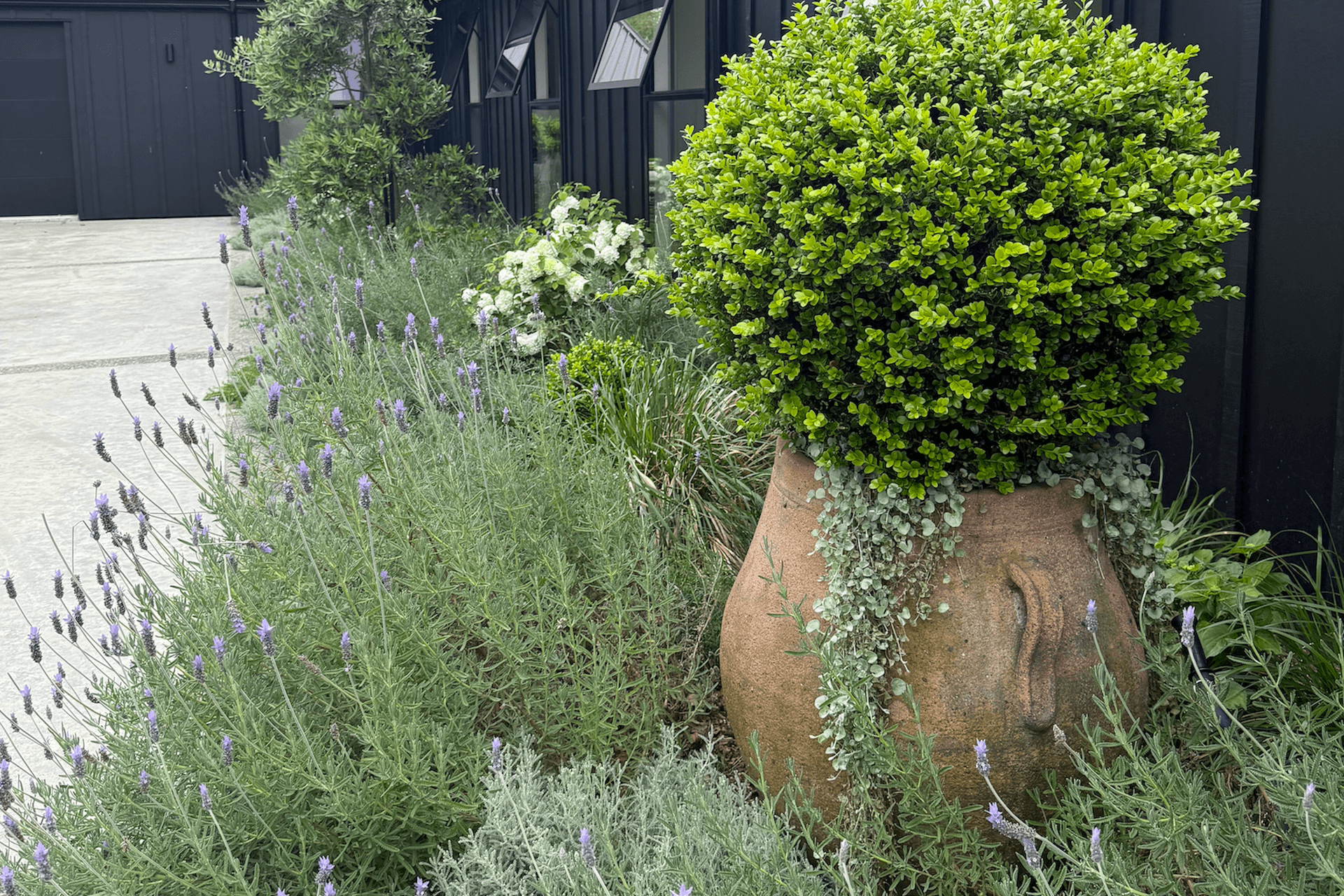 Supporting Image 1 for Gardeners Emporium