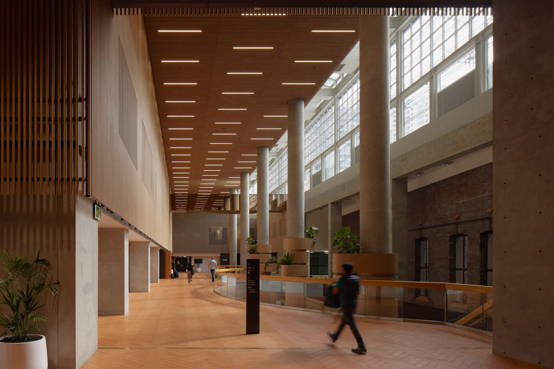 Hero Banner for Peter Marko Photographer