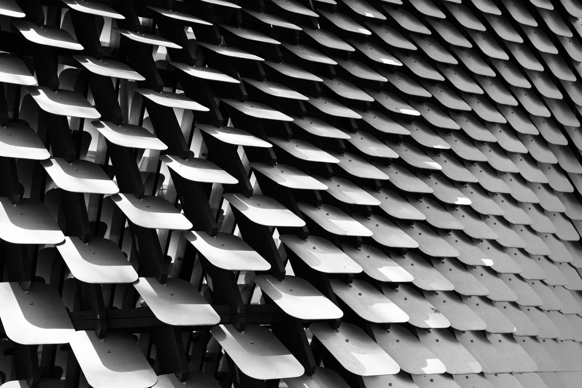 Supporting Image 3 for Sebastian Photography