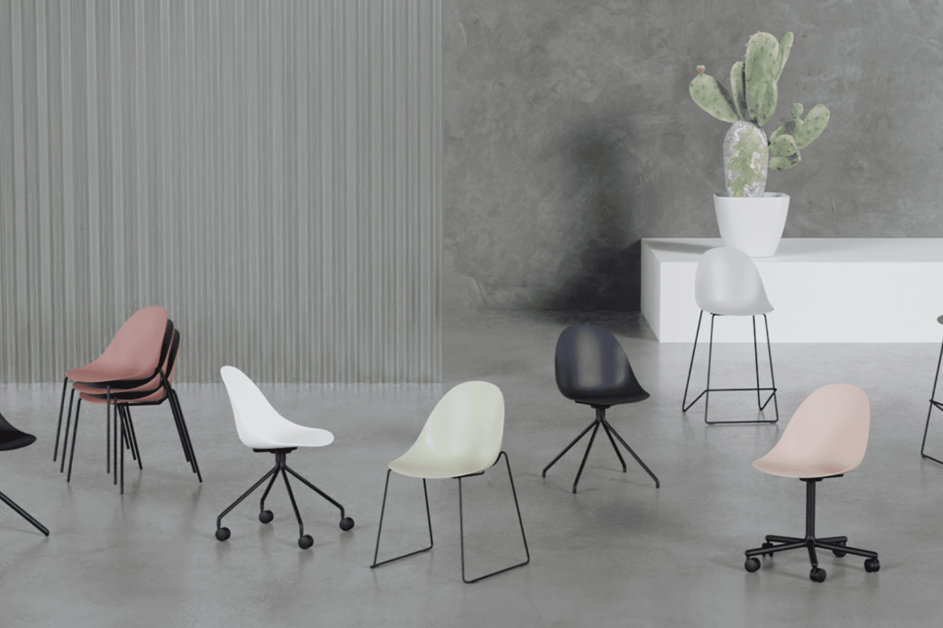 Supporting Image 5 for LEVEL