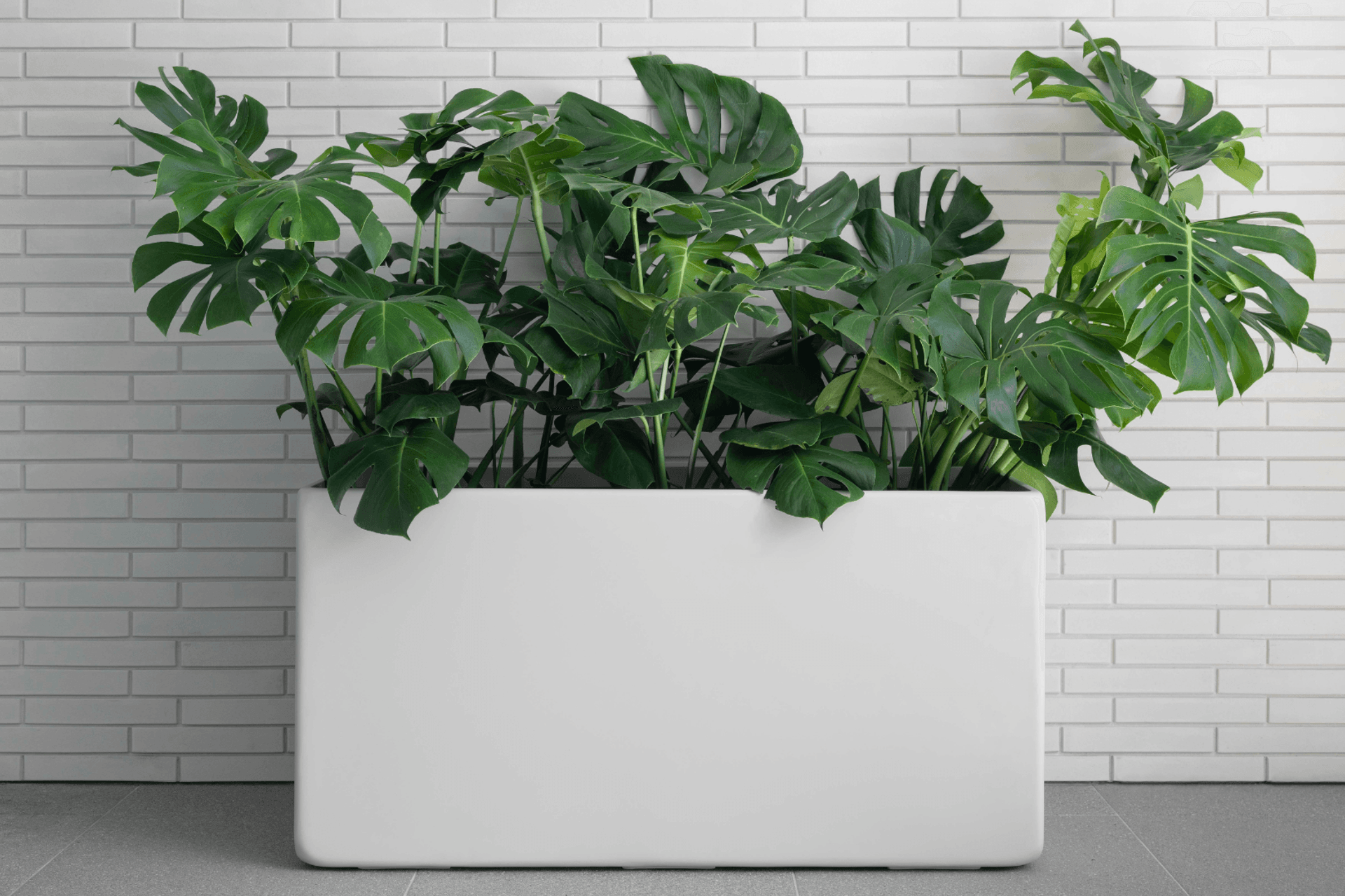 Supporting Image 7 for Hibernate Outdoors