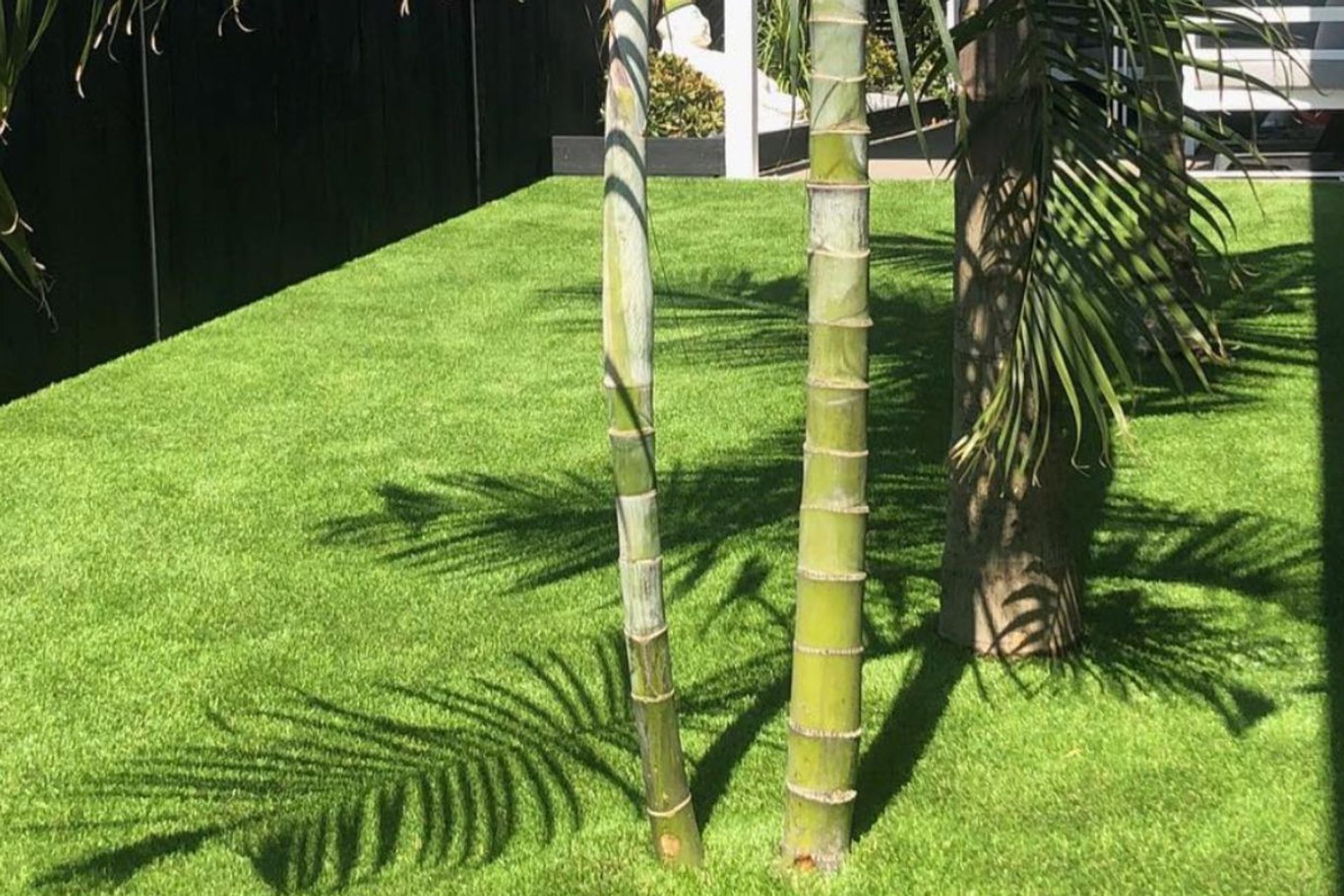 Supporting Image 1 for GameOn Turf