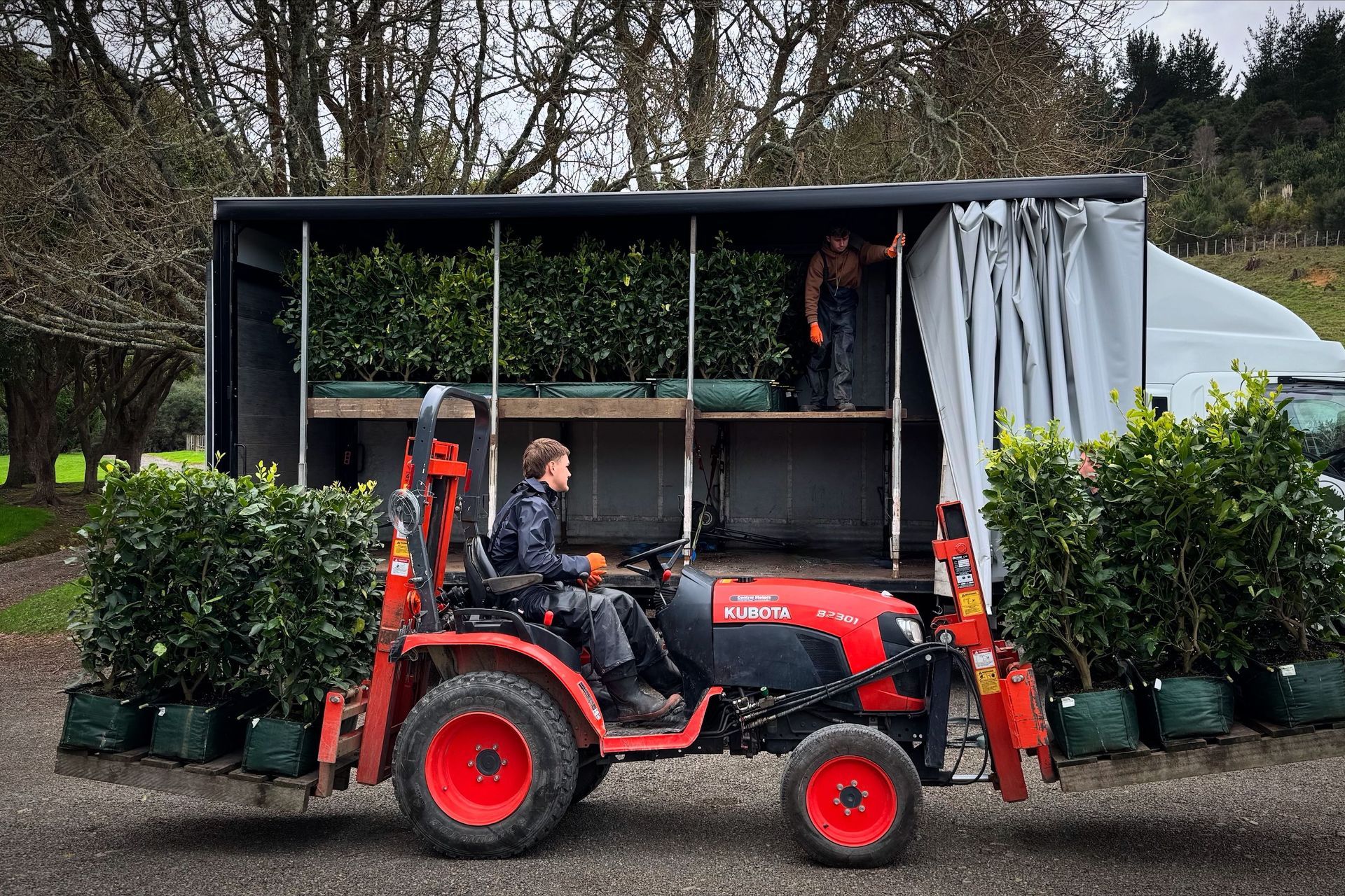 Hero Banner for Twining Valley Nurseries