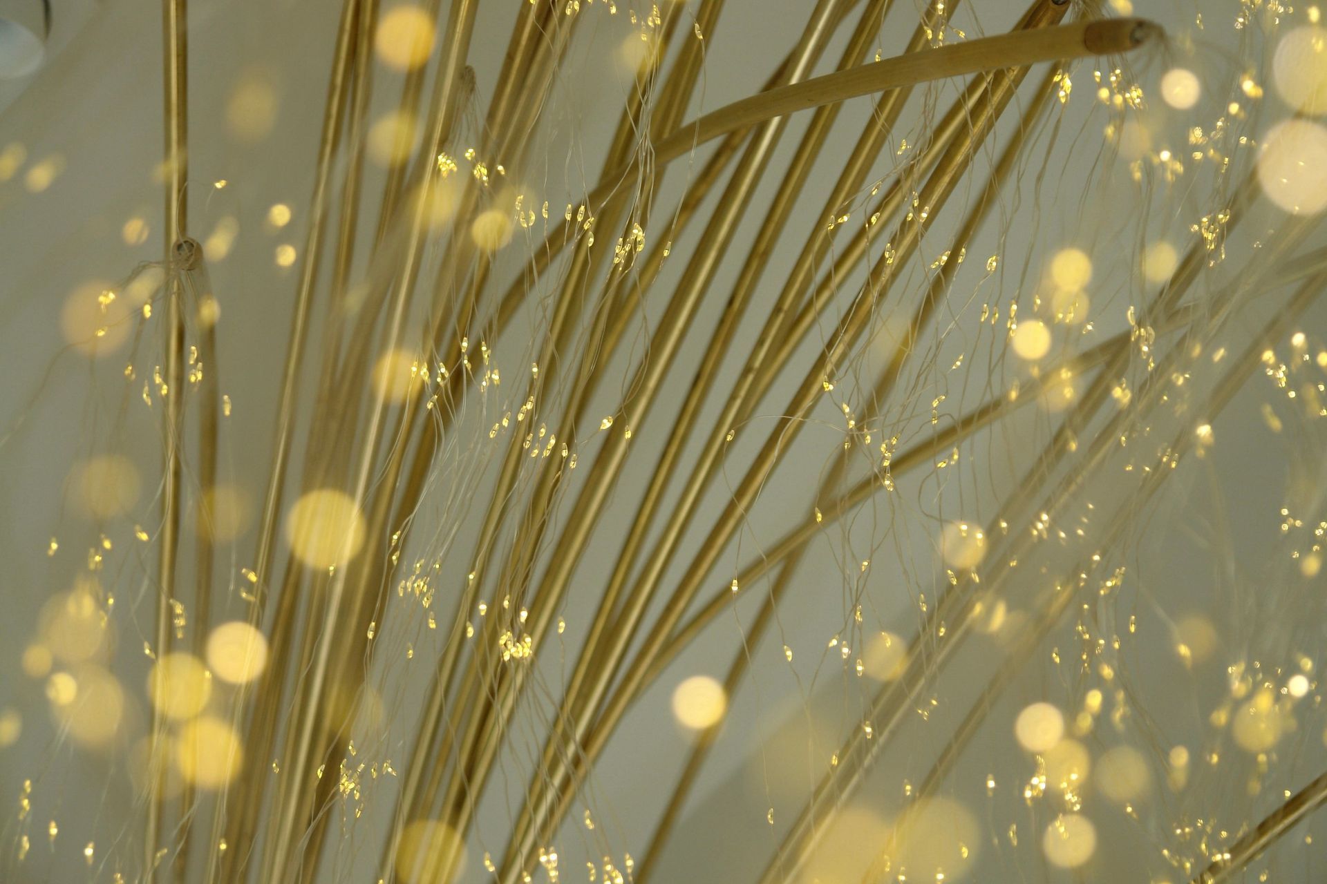 Supporting Image 3 for James Russ