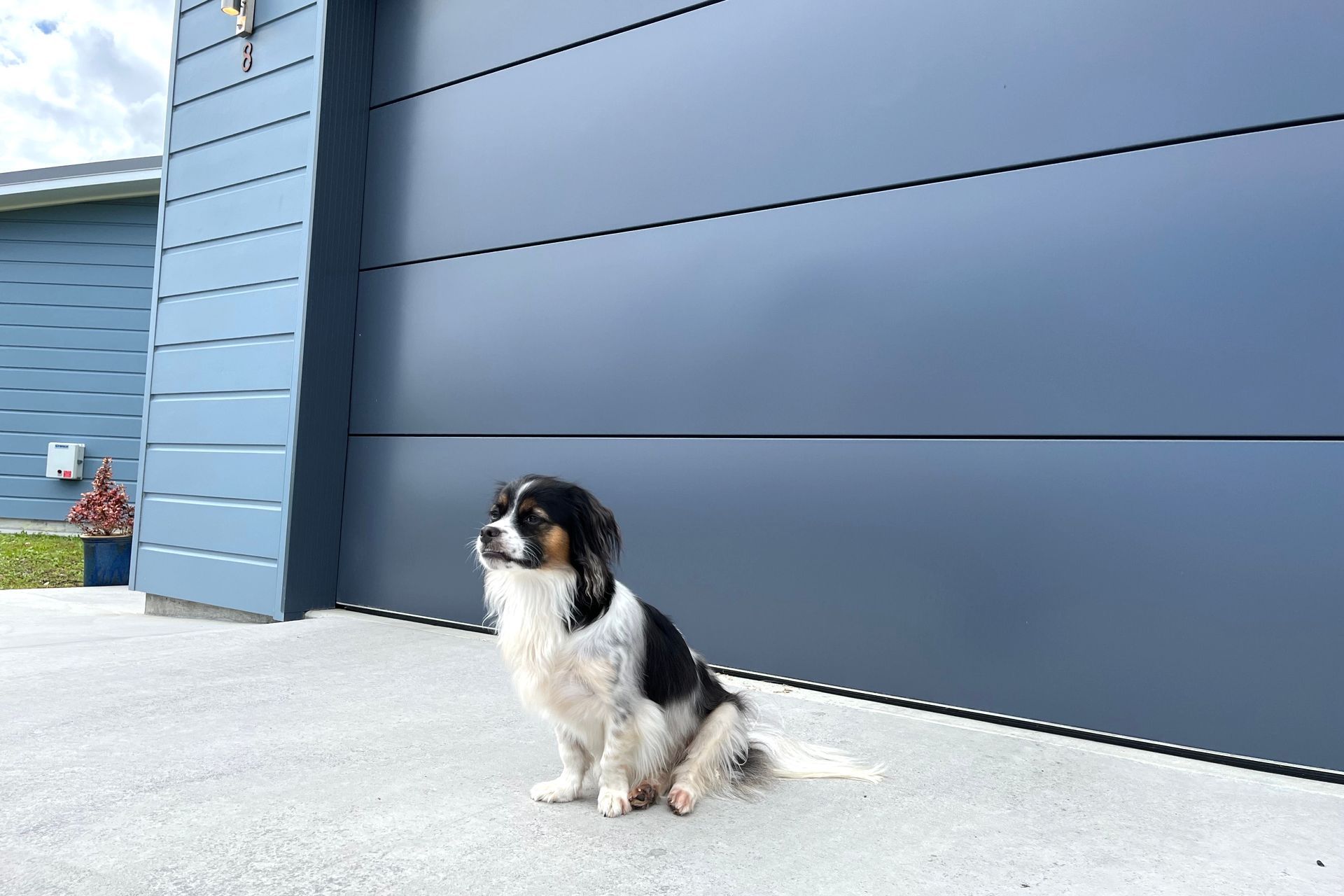 Hero Banner for Ali-Jamb