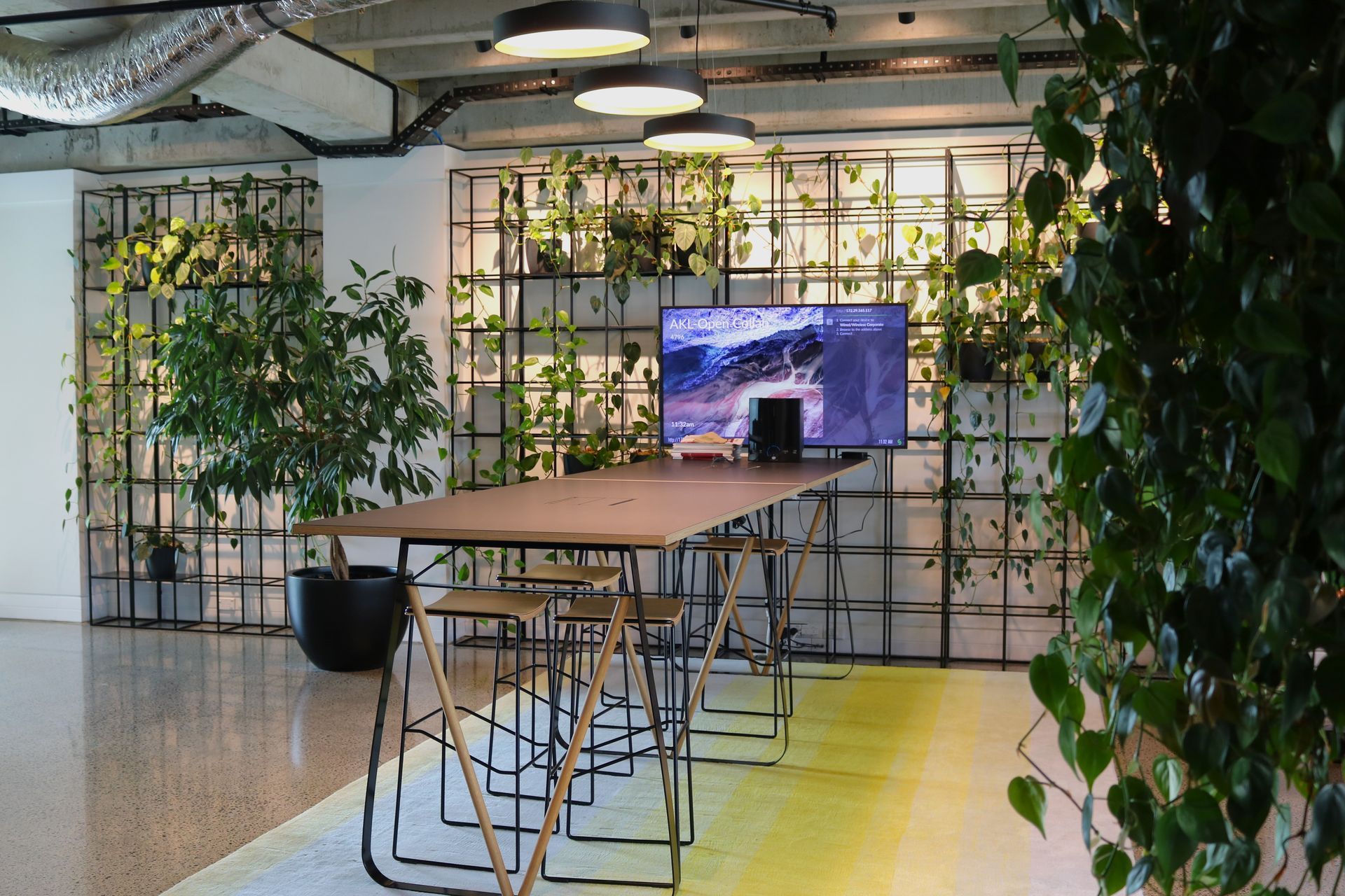 Supporting Image 3 for Hire Plants