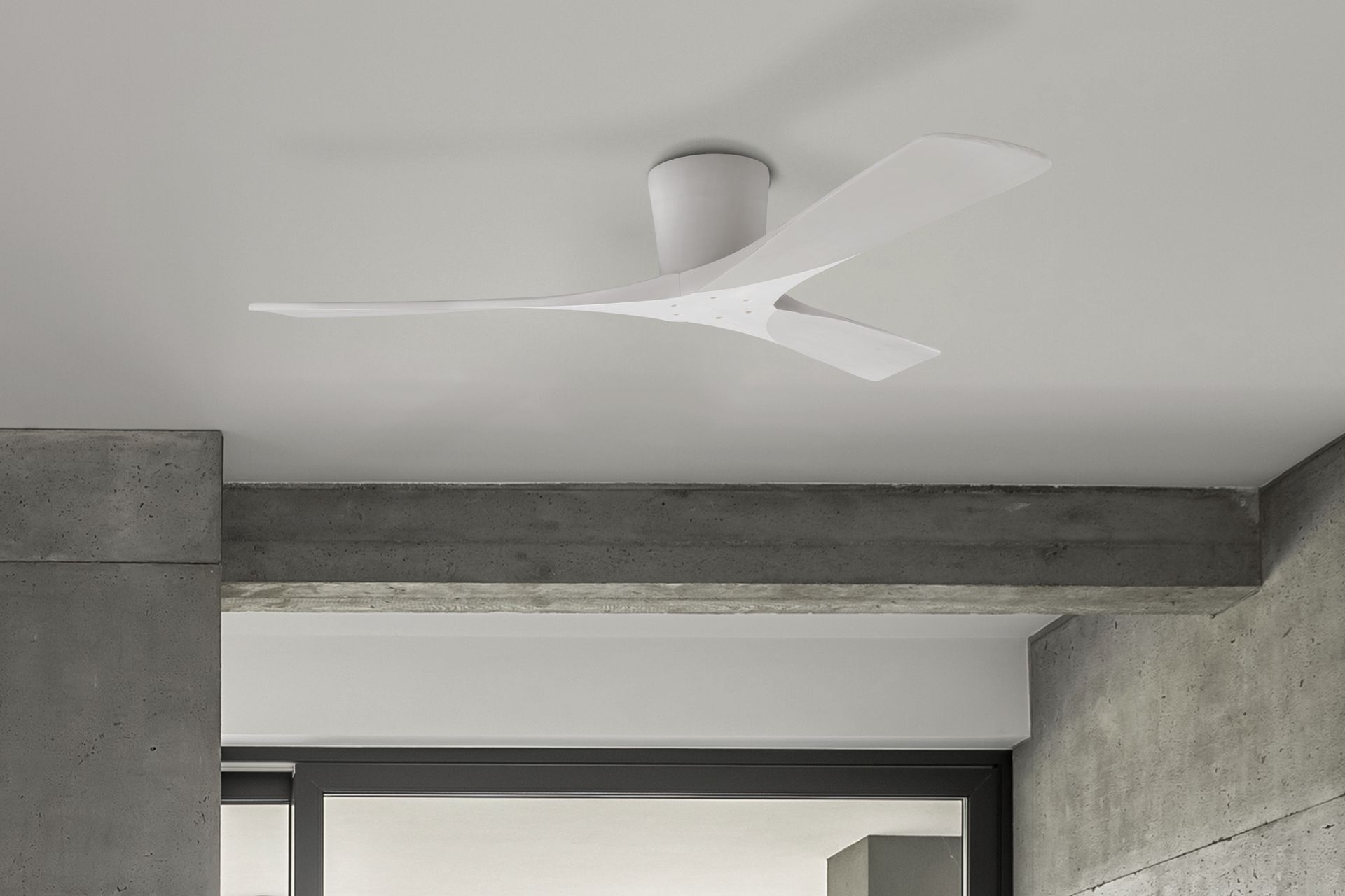 Hero Banner for Fans City