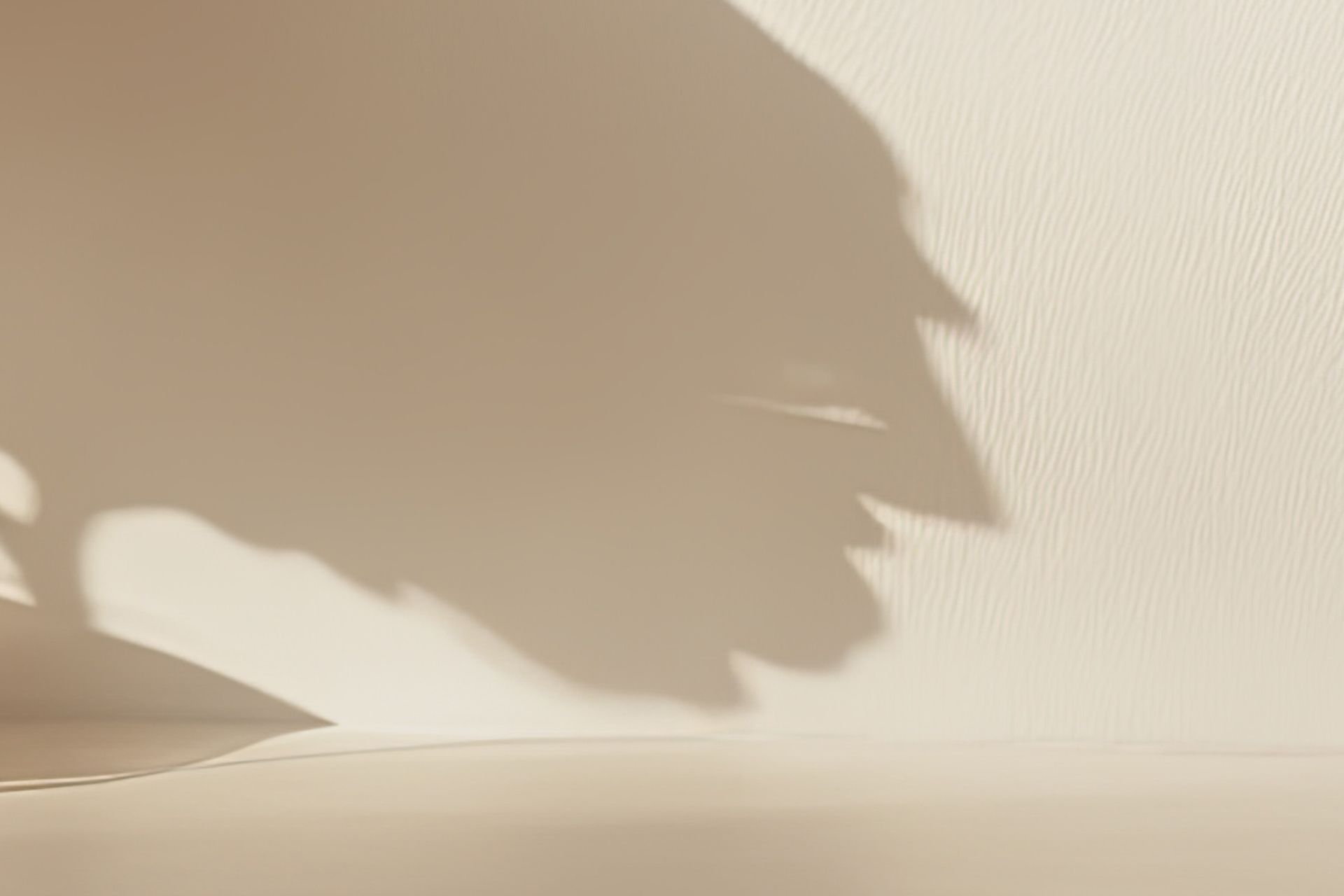 Supporting Image 2 for PaintPlus