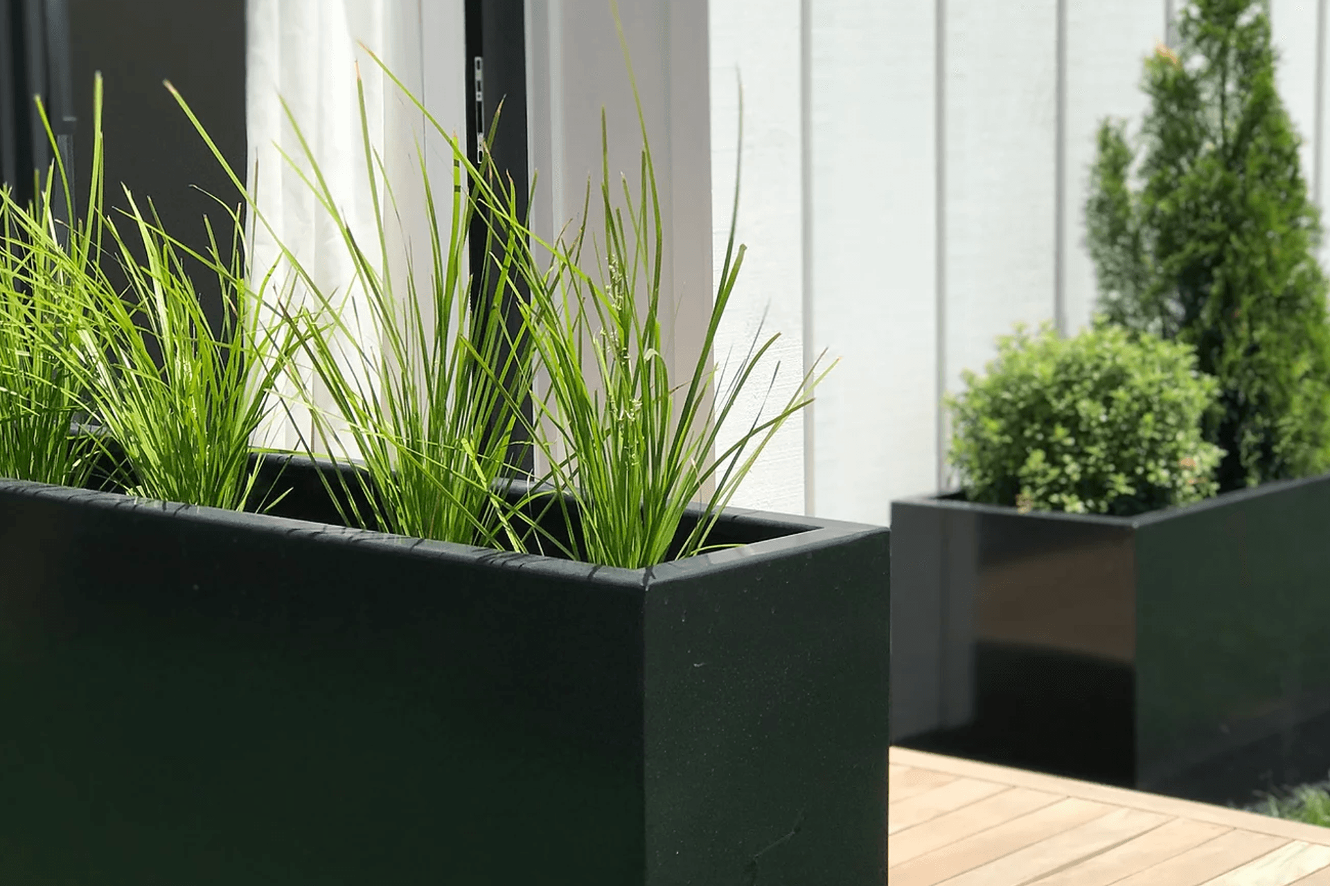 Supporting Image 1 for Tiny Anvil