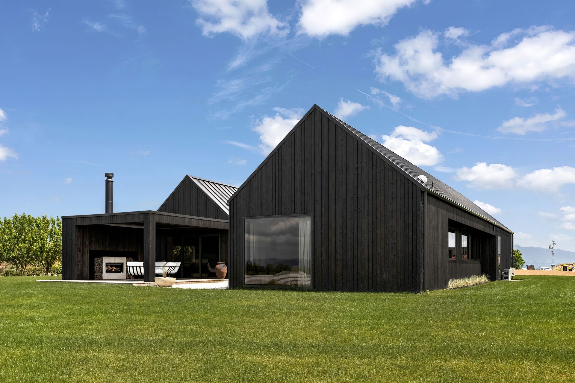 Supporting Image 3 for Sugi