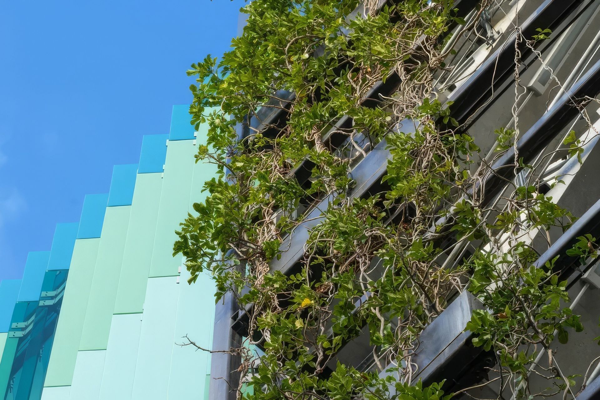 Supporting Image 4 for Holcim New Zealand