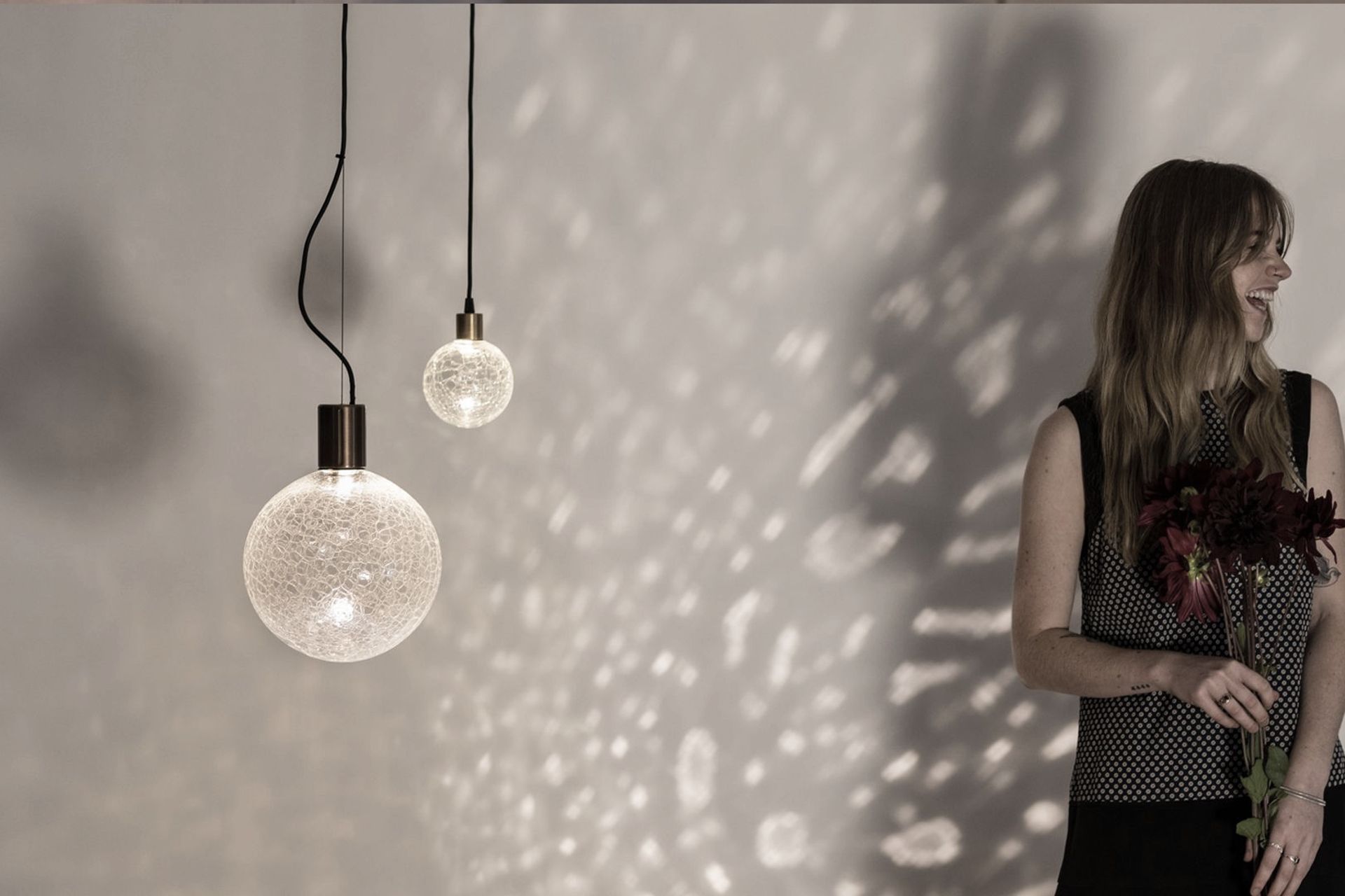 Light Establishment banner