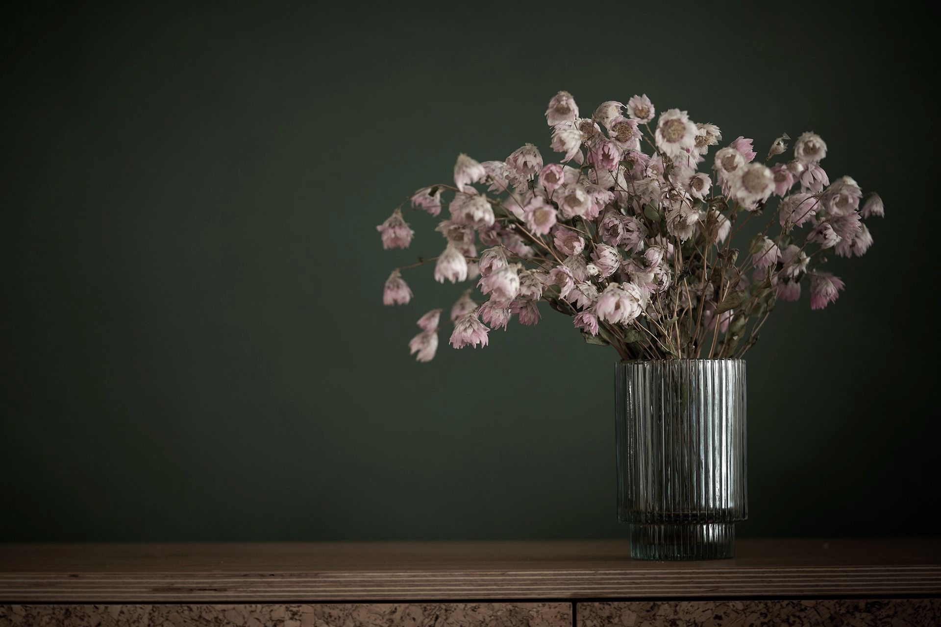 Supporting Image 5 for Porter's Paints