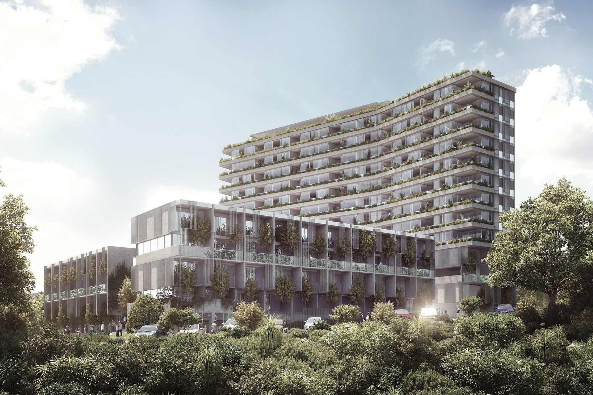 Supporting Image 2 for Cuesko