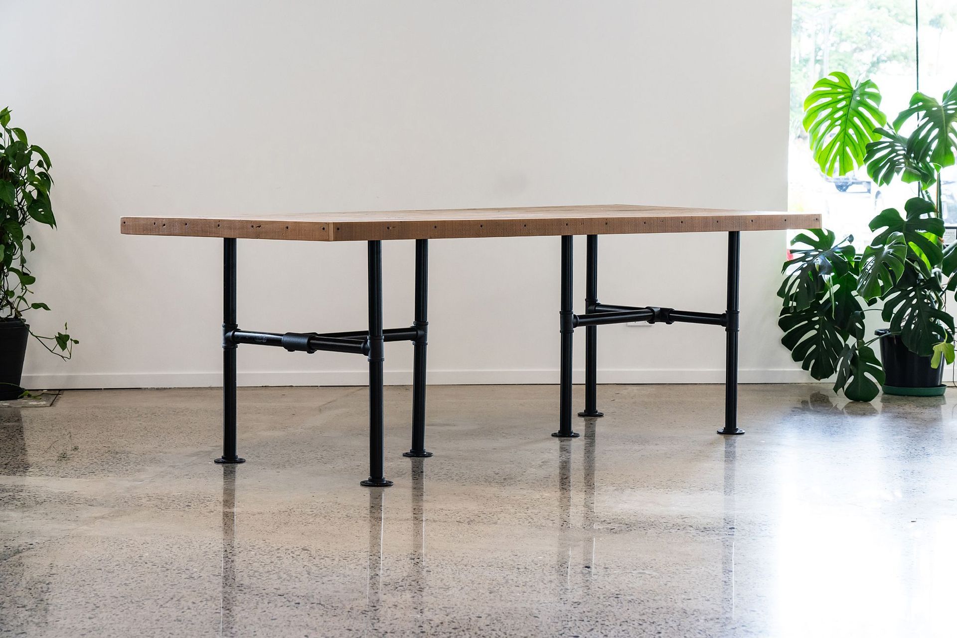 Supporting Image 2 for Iron Moa