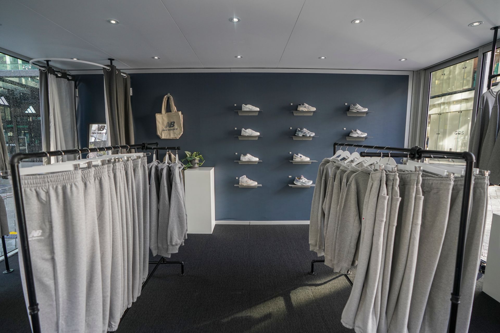 Supporting Image 3 for Iron Moa