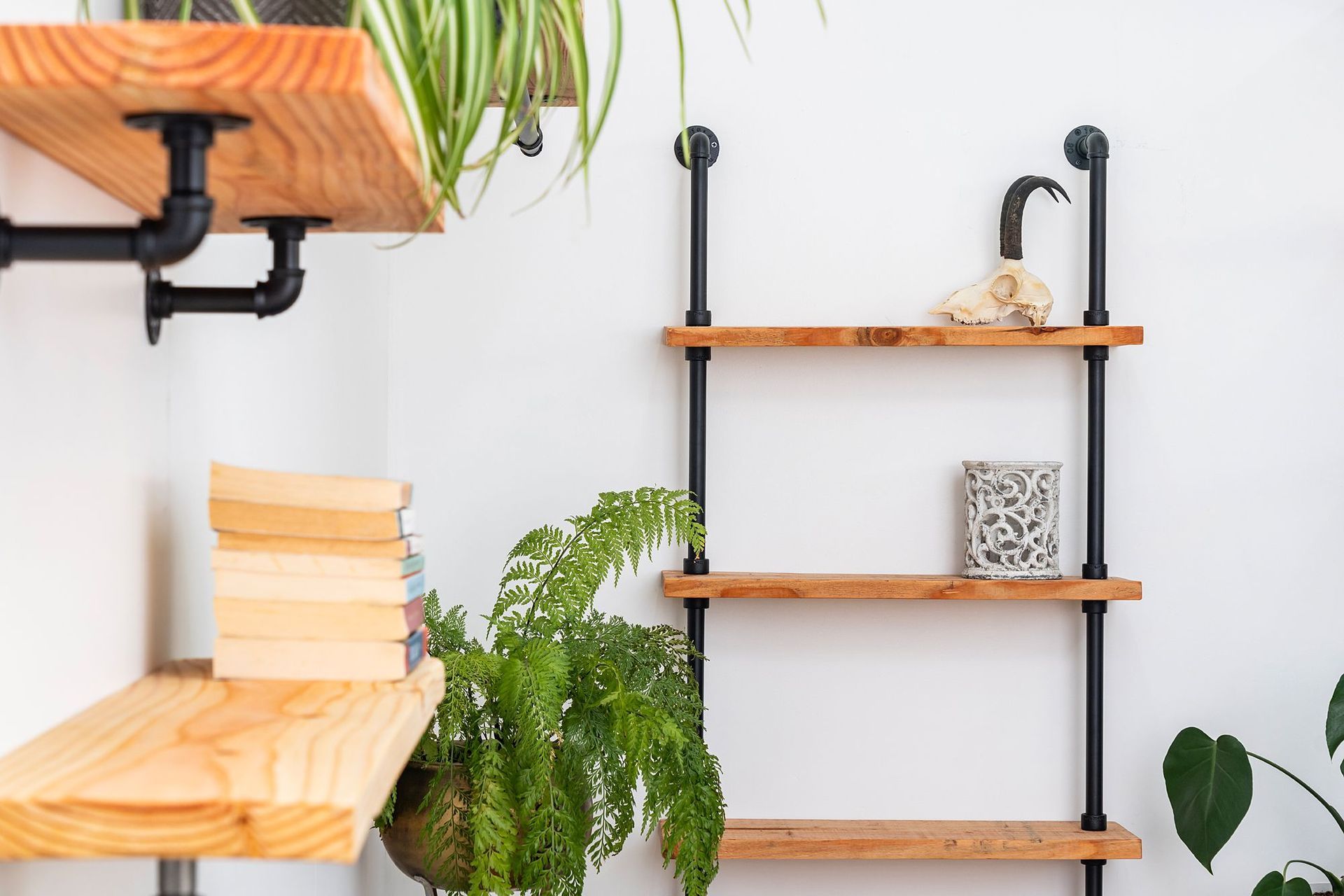 Supporting Image 1 for Iron Moa