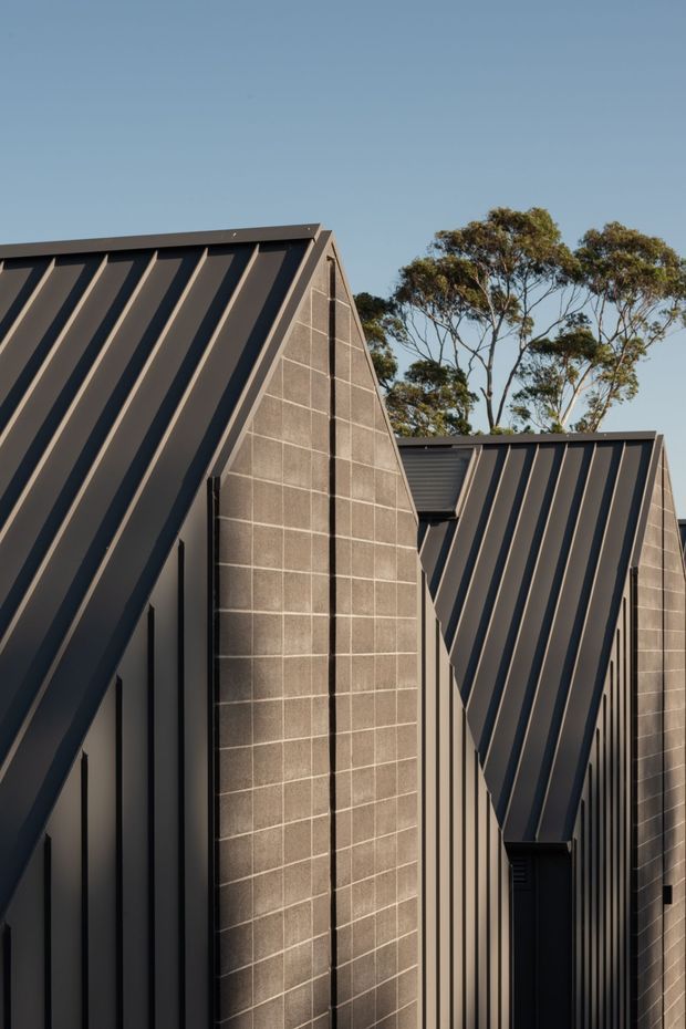 Close-up exterior architectural photograph of several adjoining gabled building forms with steep dark metal pitched roofs, vertical metal cladding, and exposed grey concrete-block end walls. Australian-style eucalyptus trees and clear sky are visible behind the structure.
