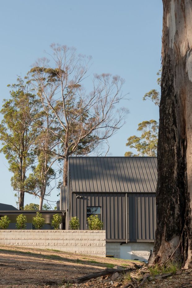 Exterior view of a contemporary residential outbuilding or house framed by mature eucalyptus trees. The structure features dark grey vertical metal cladding, a steep single-slope metal roof, large glazed doors or windows, and a pale masonry boundary wall in a wooded suburban setting.