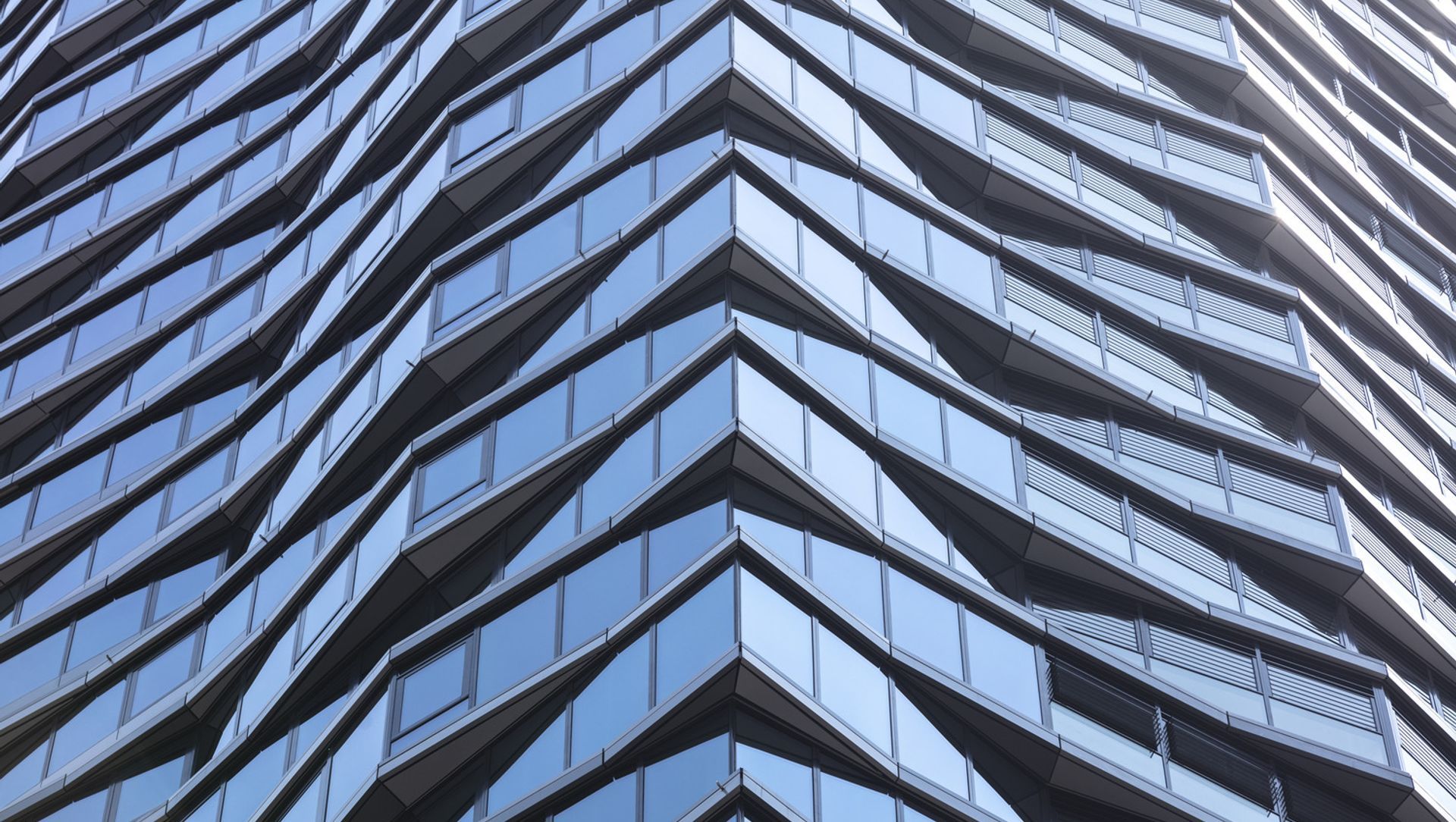 York & George banner