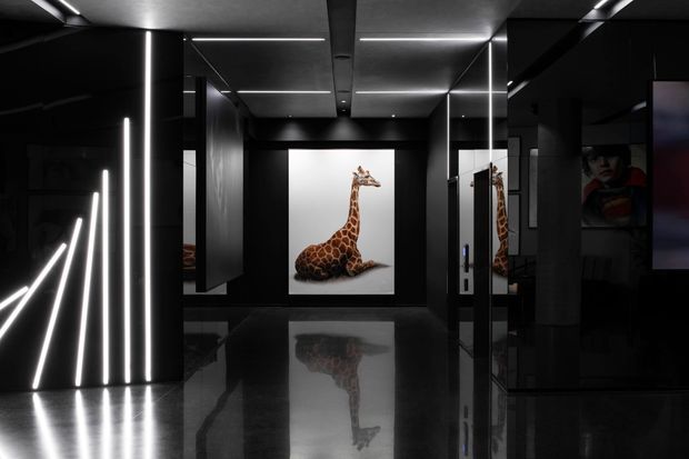A dark, dramatic contemporary interior corridor or gallery-like space with glossy black floors and walls, mirrored surfaces, and linear recessed and vertical LED lighting. A large giraffe artwork forms the focal point at the far end, with its reflection visible on the polished floor. The space has a sophisticated, high-contrast, exhibition-like atmosphere.