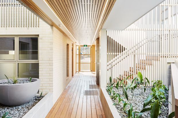 Bright contemporary covered entry corridor with warm timber decking and a slatted timber ceiling. Pale brick walls, vertical white screening, glazed openings, and a planted gravel courtyard create a refined indoor-outdoor transition. A sculptural planter and tropical foliage add natural detail, while a secure timber-framed gate is visible at the far end.
