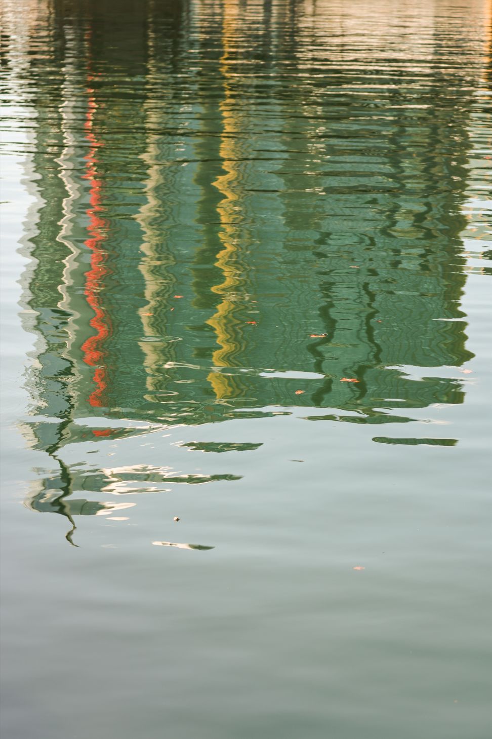 1S7A7981-ap-compressed.jpg