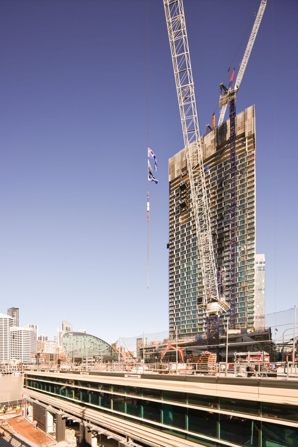 1S7A8118-ap-compressed.jpg