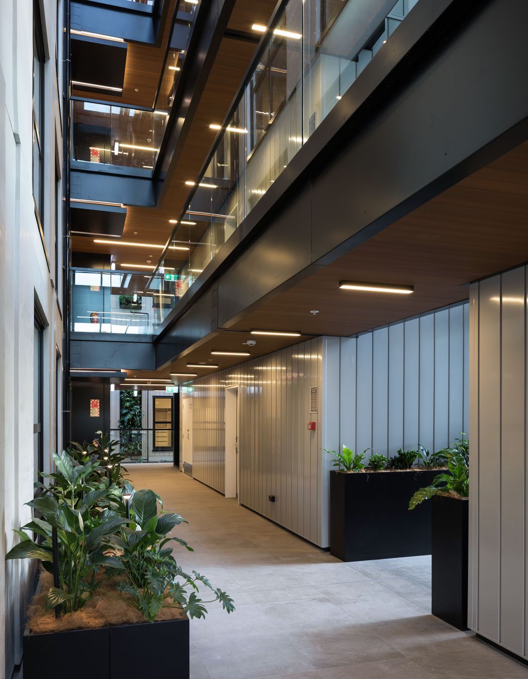 The Victor Apartments