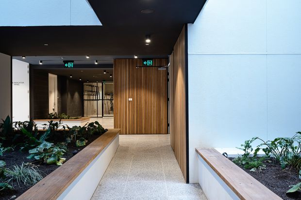 A contemporary interior entry corridor with indoor planted garden beds, white rendered walls, warm timber slatted wall cladding and timber-edged raised planters. The passage has a dark ceiling with recessed downlights, terrazzo-like flooring, glazed and timber doors, and illuminated exit signage. The space feels modern, calm and biophilic.