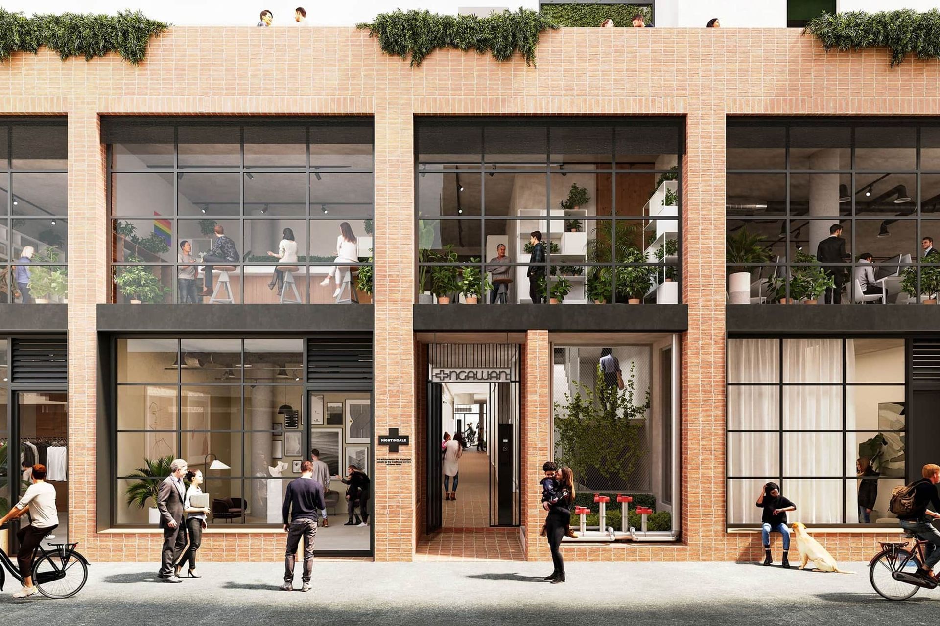 Nightingale Wurru-wurru, Laak, Yambook & Ngawan