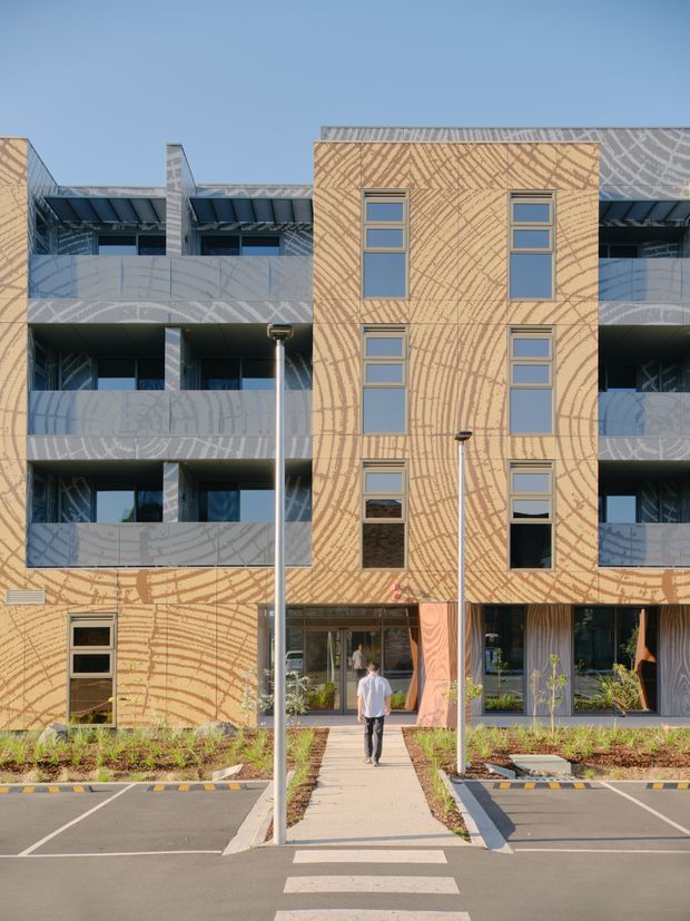 Front exterior view of a contemporary multi-storey apartment building. The facade combines a prominent tan patterned masonry or concrete-clad central volume with grey side wings, projecting balconies, full-height glazing, and a corrugated metal roof. A pedestrian path, street lamps, planted beds, and marked parking spaces lead to the ground-floor entrance.