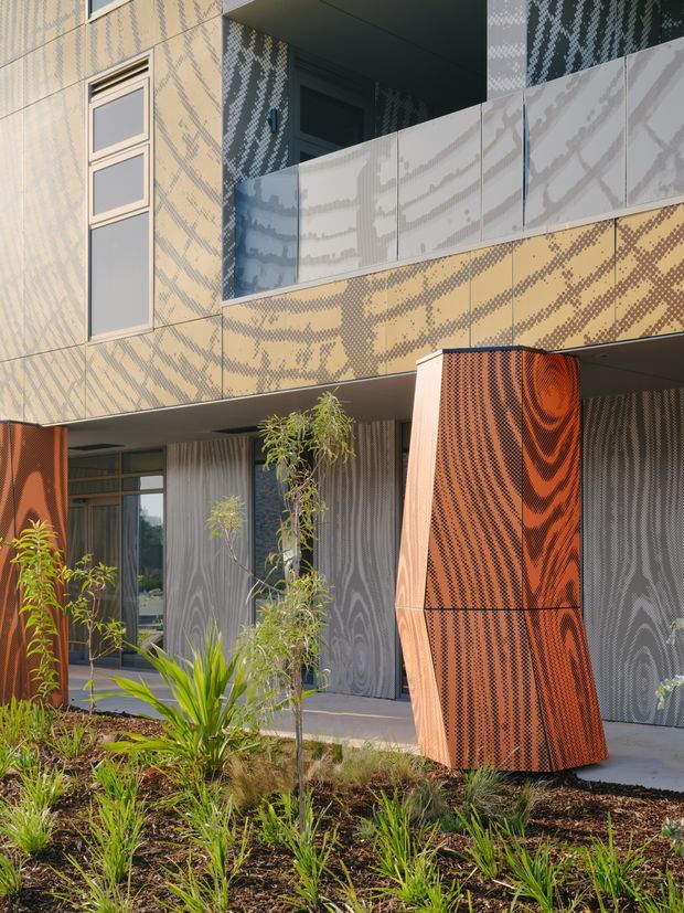 Exterior view of a contemporary multi-level building clad in patterned panels, with projecting balconies, frosted or screened glazing, and a striking sculptural timber-toned facade element at the entrance. Native-style landscaped planting surrounds the building.