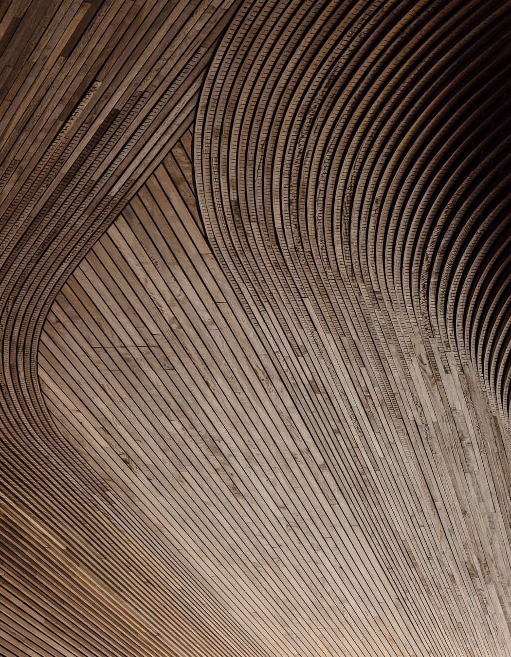 Arkadia by DKO Architecture