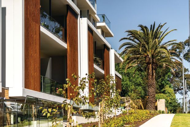 Exterior view of a contemporary multi-storey residential building with strong vertical white rendered elements, warm timber-look cladding panels, recessed balconies, and extensive glass balustrades. The landscaped frontage includes a large palm tree, planted garden beds, and a paved access path.