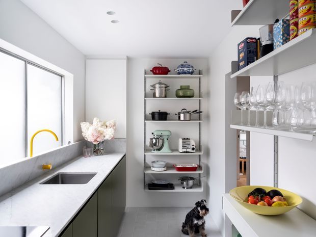 Bright, compact modern pantry and utility kitchen with grey stone-look benchtops, integrated sink, open shelving, tall storage cabinetry, and extensive display storage for cookware, appliances, glassware, and pantry goods. A large window provides natural light, while a small dog is present on the tiled floor.