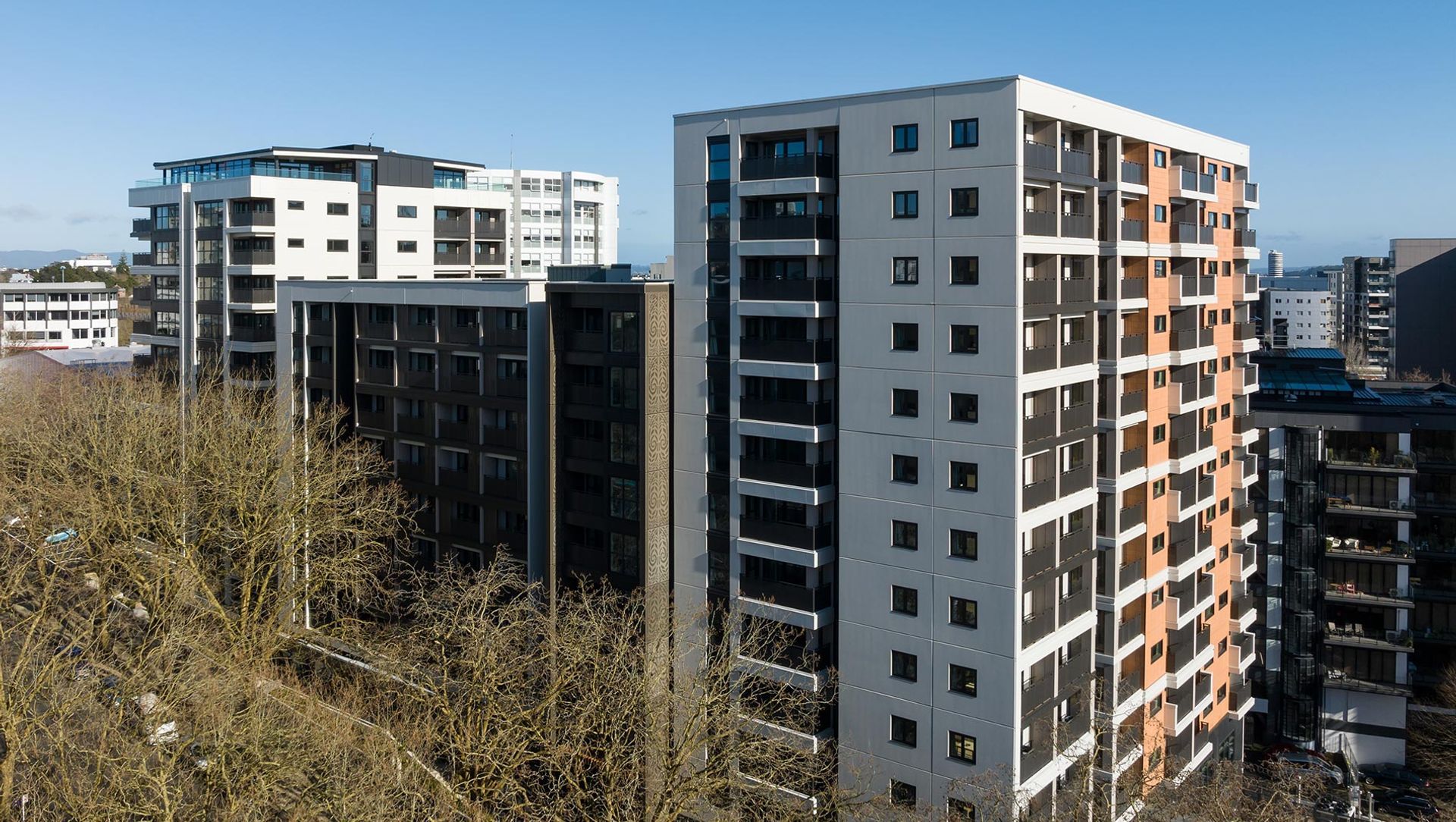 139 Greys Ave (Te Mātāwai) banner