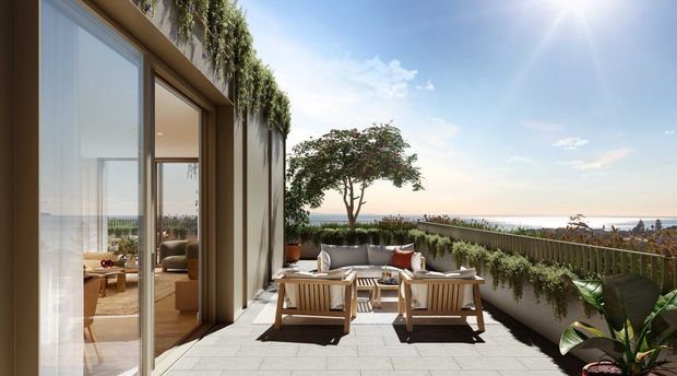 A sunlit rooftop or elevated terrace with pale stone paving, timber outdoor dining furniture, built-in planter beds, lush trailing greenery, and a glass-lined interior opening. The terrace overlooks a coastal or urban horizon and is styled as an outdoor entertaining space.