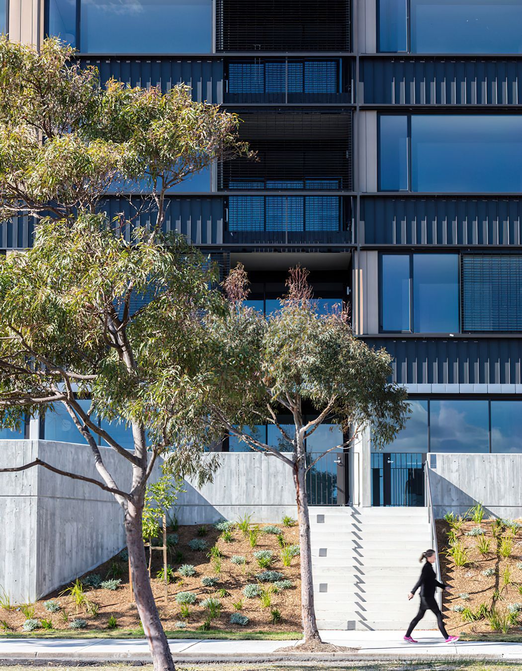 Illume Little Bay Nsw 5000m² of Our PVDFAluminium Range