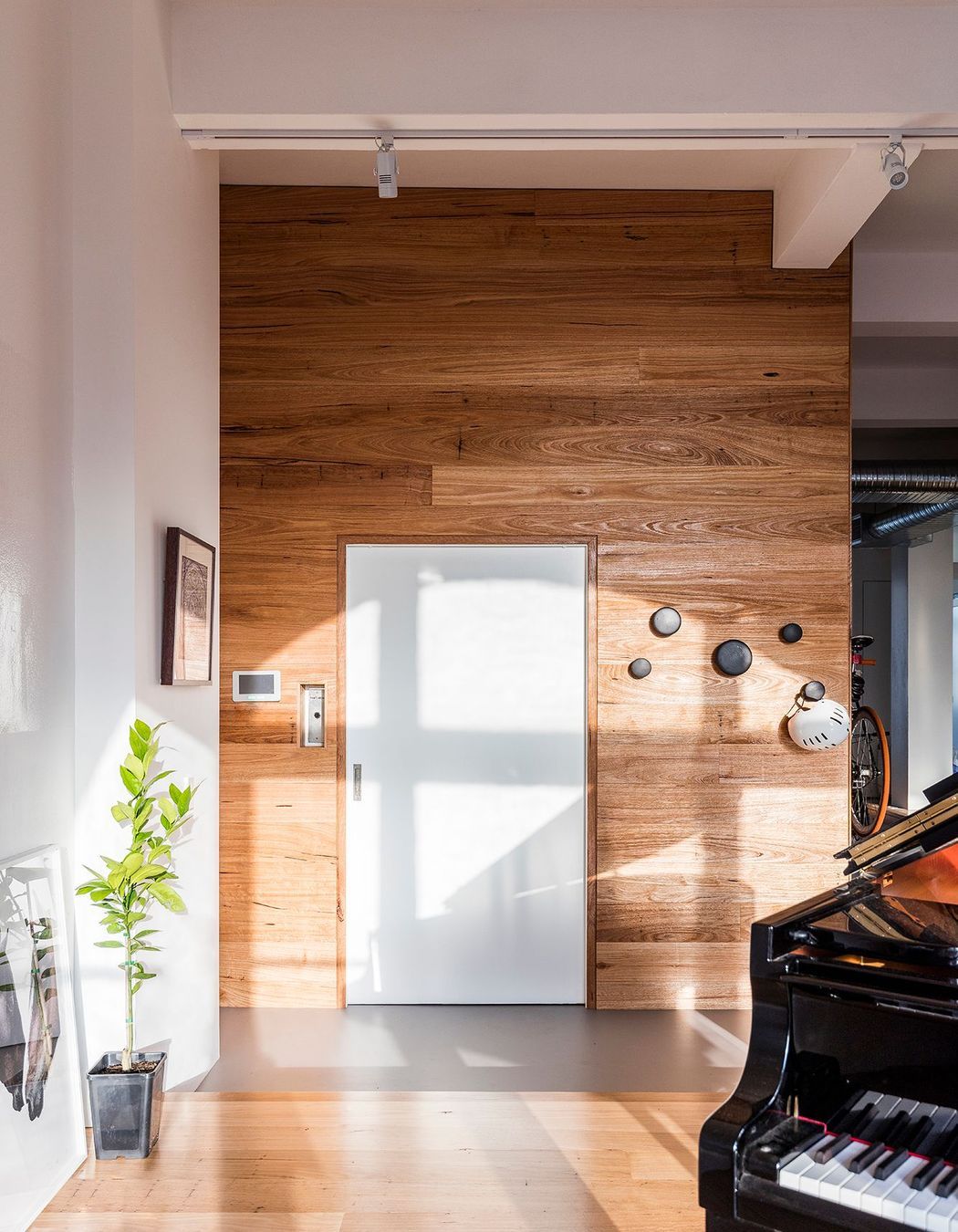 Surry Hills Apartment