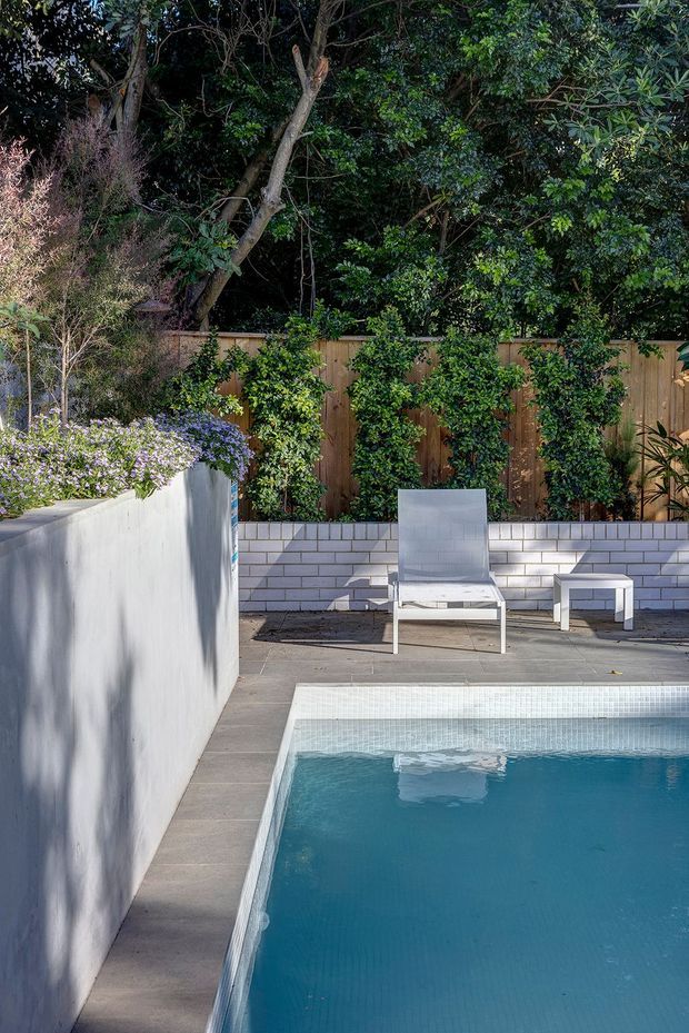 A landscaped residential pool courtyard with a rectangular in-ground swimming pool in the foreground, surrounded by pale concrete paving and rendered planter walls. A raised garden bed with flowering plants sits to the left, while a white brick retaining wall, timber privacy fence, clipped shrubs, and mature trees form the backdrop. Minimal white outdoor lounge furniture is arranged beside the pool. The scene has a refined, tranquil contemporary garden design with strong greenery and cool blue water.