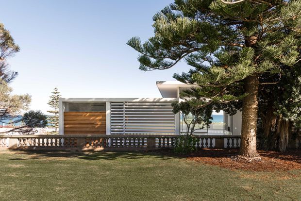 Exterior view of a low-profile contemporary coastal house set behind a broad lawn and mature Norfolk Island pines. The facade combines pale rendered walls, horizontal white louvres, and a warm timber-clad garage or entry door, with a balustraded terrace in front. Glimpses of blue water and neighboring coastal scenery are visible through the trees and glazing.