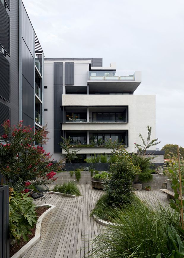 A contemporary multi-storey residential apartment building viewed from a landscaped communal courtyard. The facade combines pale rendered or masonry surfaces with dark metal cladding, recessed balconies, large glazed openings, and a rooftop terrace. In the foreground, curved timber decking paths weave through raised garden beds, ornamental grasses, shrubs, and outdoor seating.