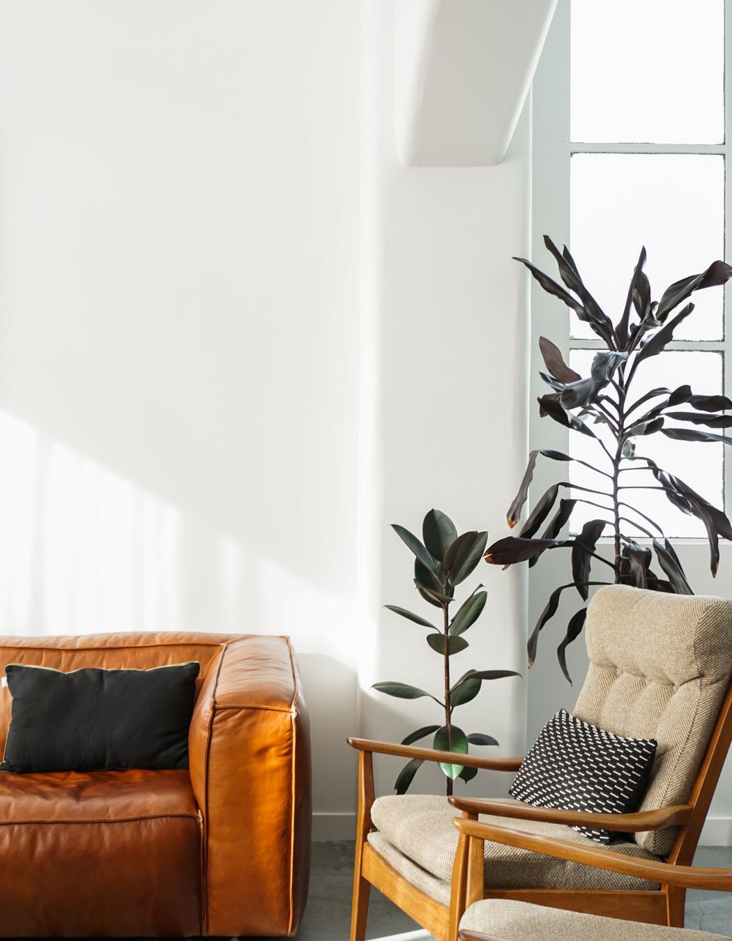 College Street Apartment