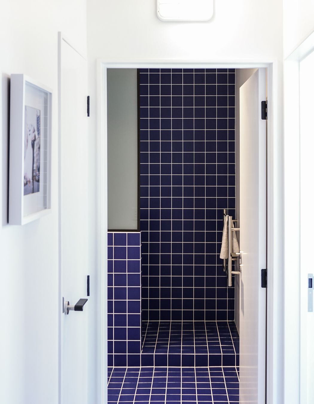 College Street Apartment