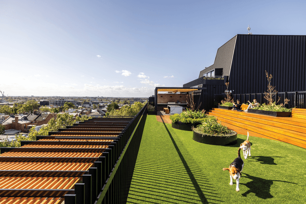 A rooftop terrace with bright artificial lawn, raised timber planter and seating platforms, and a black metal slatted pergola or balustrade system. The terrace overlooks a dense suburban or urban neighbourhood under a clear sky. A dark-clad building with a steep angular roof form occupies the right side, while long linear shadows create a strong geometric pattern across the terrace.