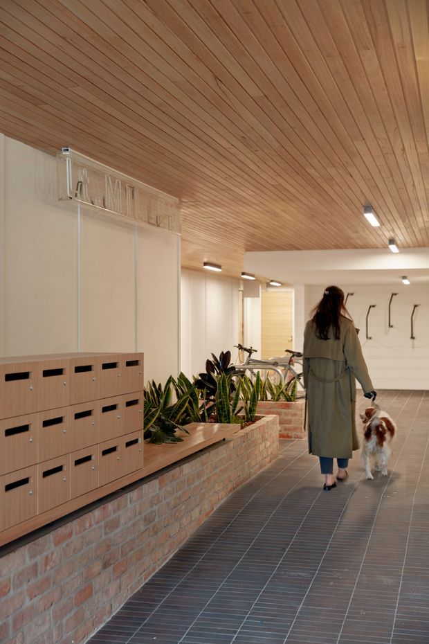 A warm, contemporary shared building entry lobby or circulation space with a linear timber-clad ceiling, dark tiled floor, exposed brick planter and bench, integrated timber parcel lockers, bicycles, coat hooks, and indoor plants. A person walks a dog through the corridor.