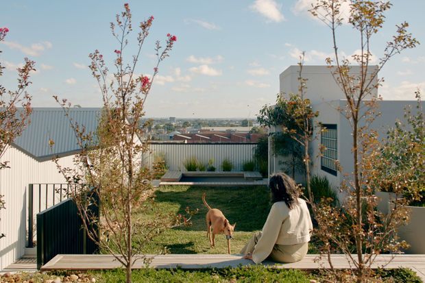 A landscaped rooftop or elevated terrace garden overlooking a suburban or urban district. The space features a small lawn, raised timber-edged planting beds, young ornamental trees, grasses, dark metal fencing, and a built-in bench. A person and dog sit within the garden, with modern low-rise buildings and a broad sky visible beyond.